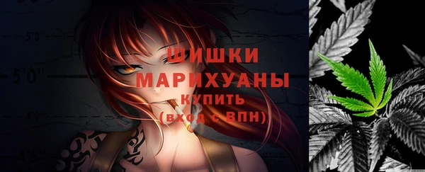мдпв Вязьма