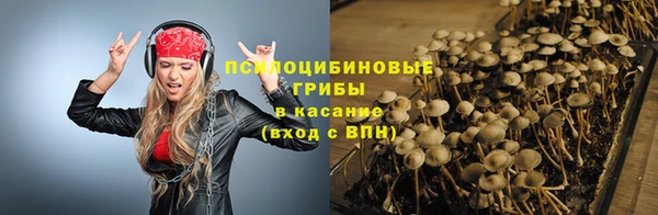 мдпв Вязьма